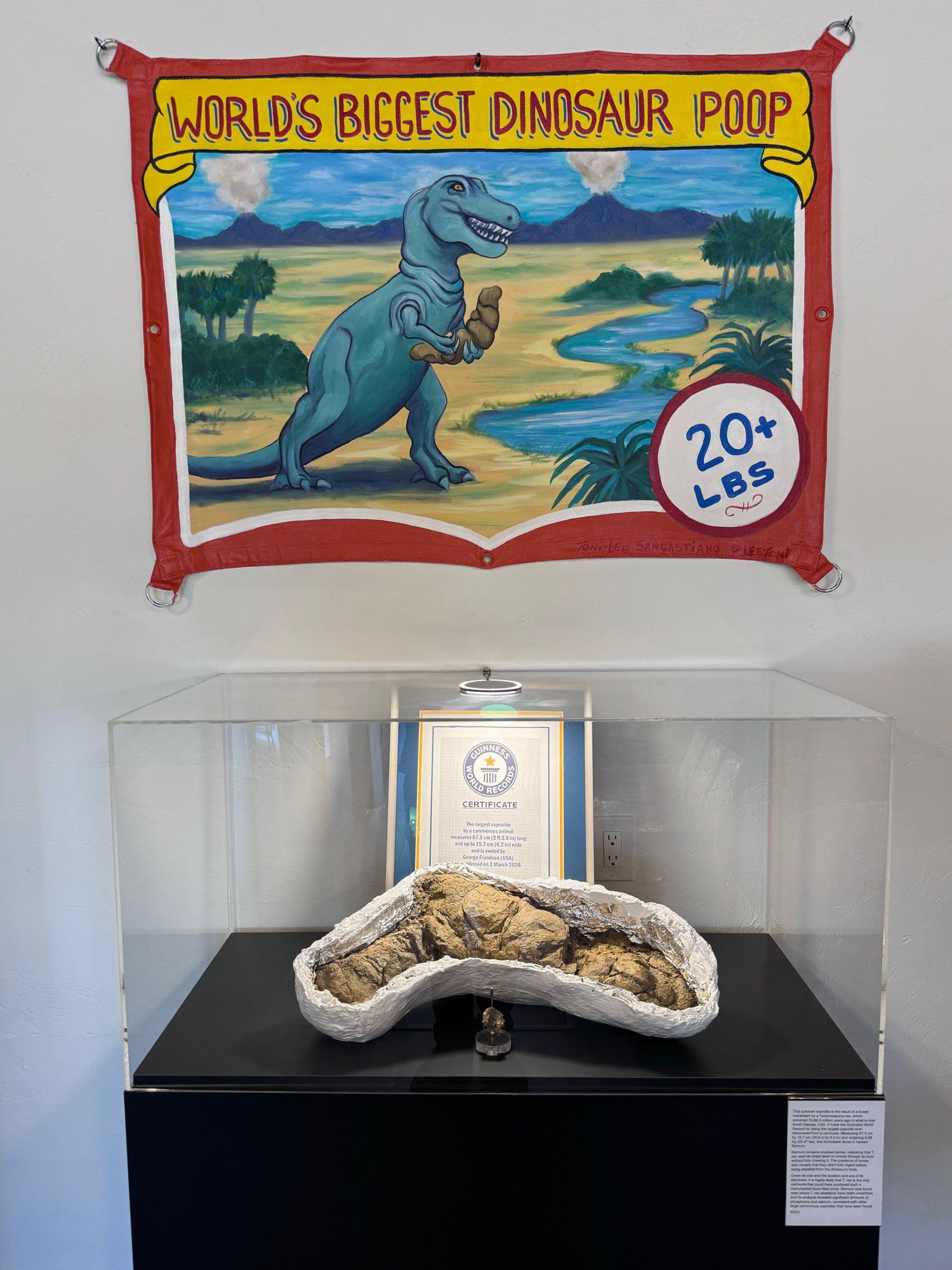 Barnum The Coprolite
