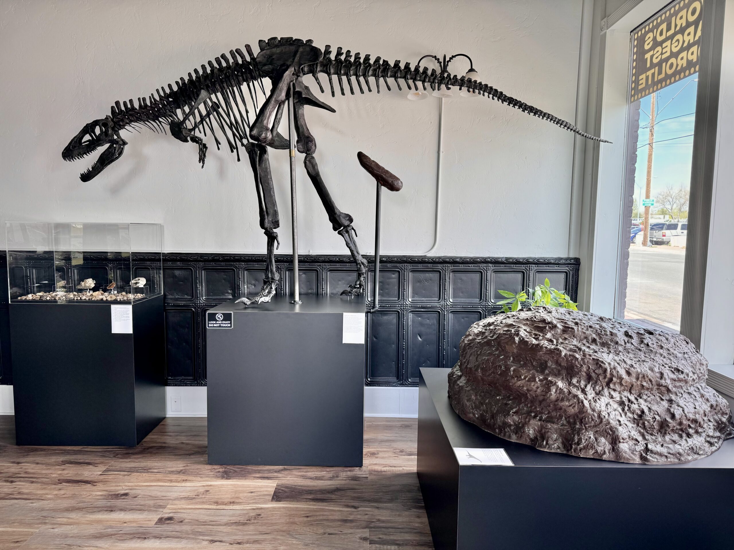T rex and Model Turd
